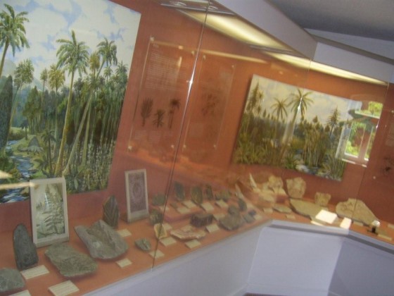 Die Fossilienwaldausstellung